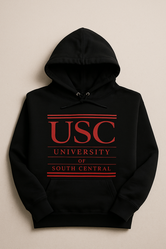 University of South Central Hoodie